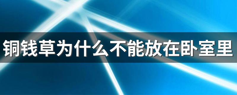 铜钱草为什么不能放在卧室里