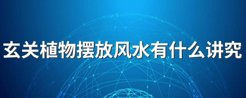 玄关植物摆放风水有什么讲究吗