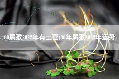 80属猴2022年有三喜(80年属猴2022年运势)
