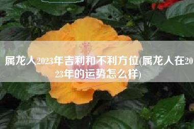 属龙人2023年吉利和不利方位