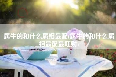 属牛的和什么属相最配