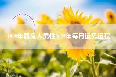1999年属兔人男性2022年每月运势运程