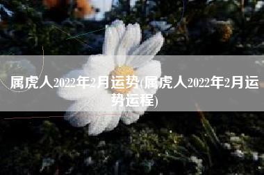 属虎人2022年2月运势