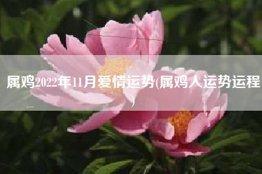 属鸡2022年11月爱情运势
