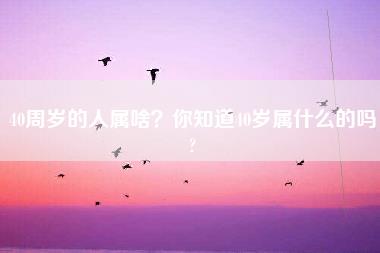 40周岁的人属啥