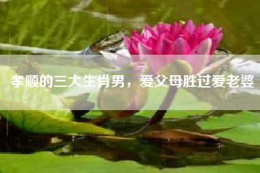 孝顺的三大生肖男，爱父母胜过爱老婆