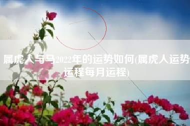 属虎人与马2022年的运势如何