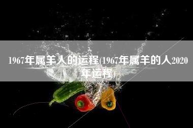 1967年属羊人的运程