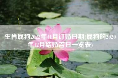 生肖属狗2022年11月订婚日期