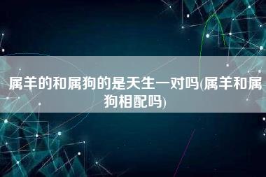 属羊的和属狗的是天生一对吗