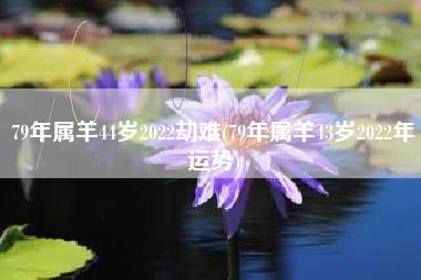 79年属羊44岁2022劫难