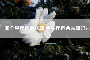 哪个星座适合从政