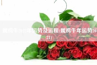 属鸡牛2022年运势及运程