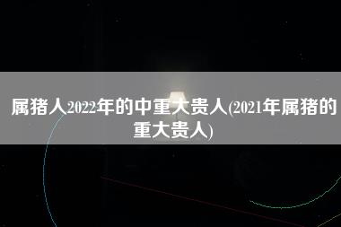 属猪人2022年的中重大贵人