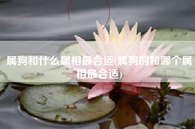 属狗和什么属相最合适
