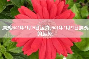 属鸡2022年2月19日运势
