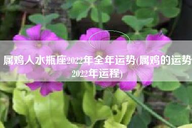 属鸡人水瓶座2022年全年运势