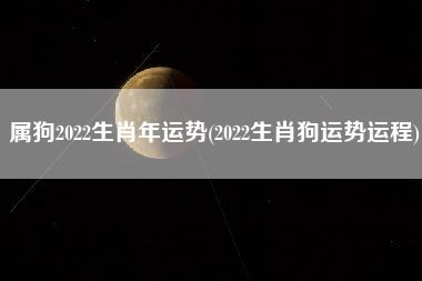 属狗2022生肖年运势