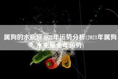 属狗的水瓶座2022年运势分析