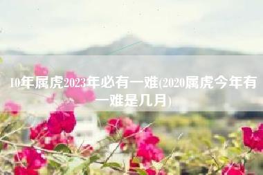 10年属虎2023年必有一难