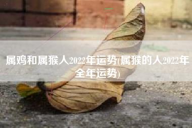 属鸡和属猴人2022年运势