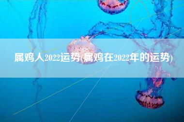 属鸡人2022运势