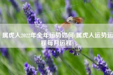 属虎人2022年全年运势如何