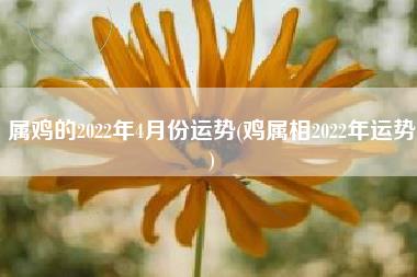 属鸡的2022年4月份运势