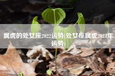 属虎的处女座2022运势