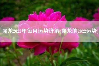 属龙2022年每月运势详解