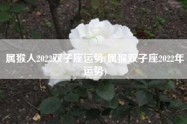 属猴人2022双子座运势