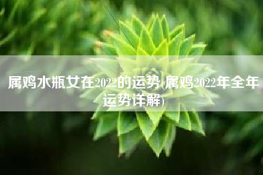 属鸡水瓶女在2022的运势