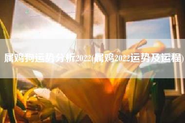 属鸡狗运势分析2022
