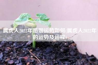 属虎人2022年婚姻运势如何