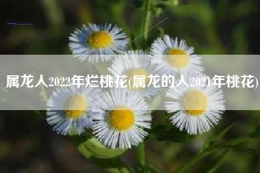 属龙人2022年烂桃花