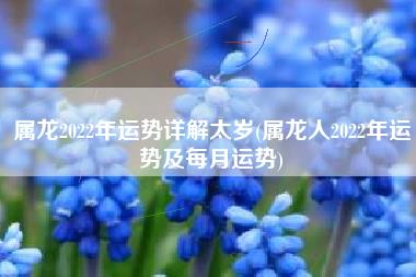 属龙2022年运势详解太岁