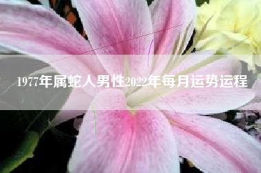 1977年属蛇人男性2022年每月运势运程