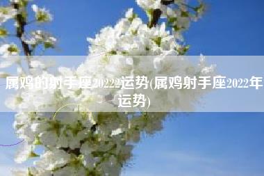 属鸡的射手座20222运势
