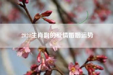 2022生肖狗的爱情婚姻运势