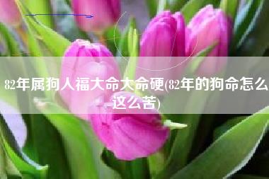 82年属狗人福大命大命硬