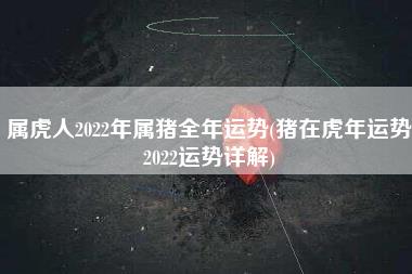 属虎人2022年属猪全年运势