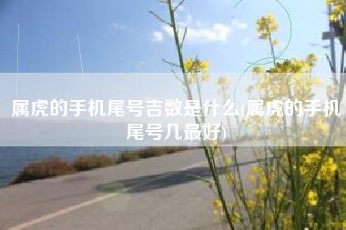属虎的手机尾号吉数是什么