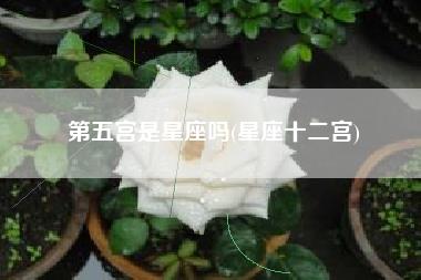 第五宫是星座吗
