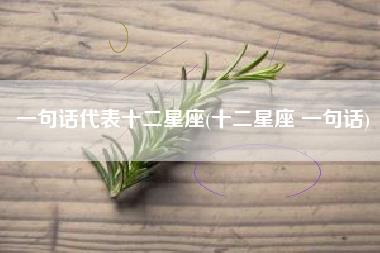 一句话代表十二星座