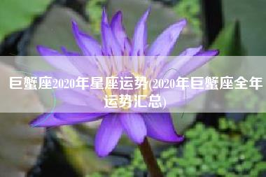 巨蟹座2020年星座运势