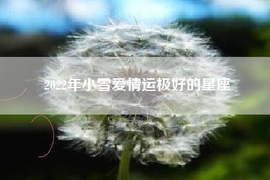 2022年小雪爱情运极好的星座