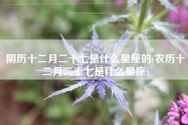 阴历十二月二十七是什么星座的