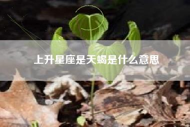 上升星座是天蝎是什么意思