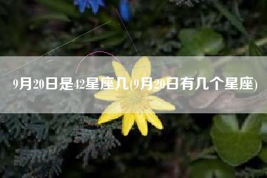 9月20日是42星座几