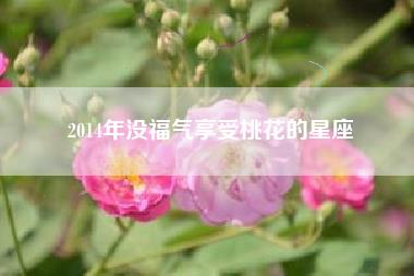 2014年没福气享受桃花的星座